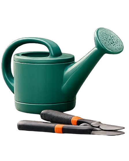 Lawn Maintenance